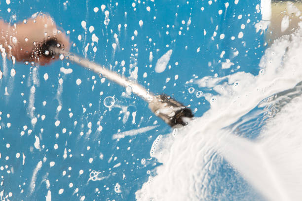 Best Gutter Cleaning  in Portland, MI